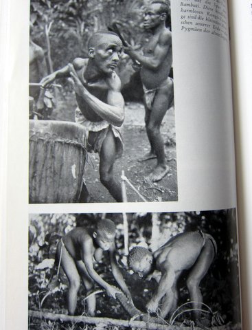 Pygmäen und Negritos - Es begann in Babel - Herbert Wendt
