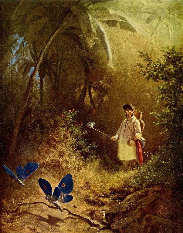 Carl Spitzweg - Der Schmetterlingsfänger - 1840